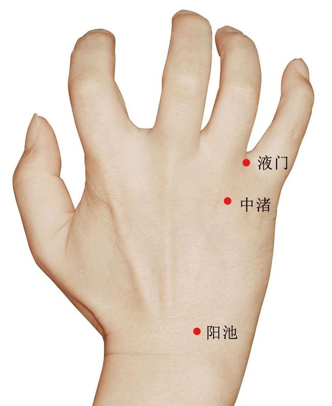 穴位:液门